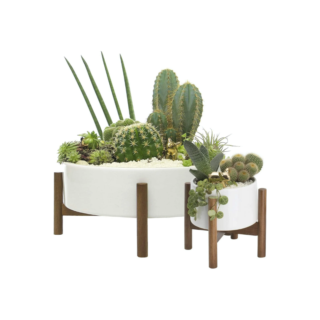 NOVO STUDIO | CENTERPIECES