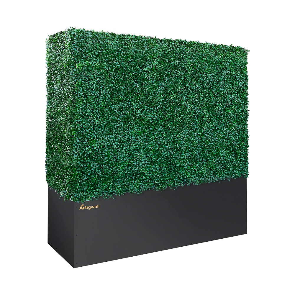 BOXWOOD HEDGE - LARGE – NOVO STUDIO EVENTS